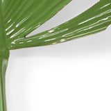 Split Leaf Palm (Left)