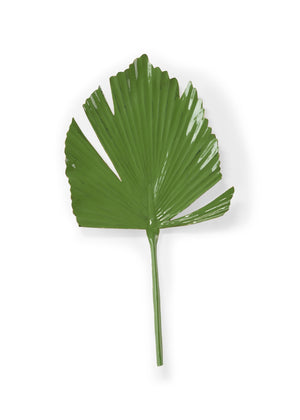 Split Leaf Palm (Left)