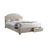 Newdale Contemporary 2-drawer Upholstered Storage Bed Beige