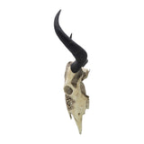 Sagebrook Home Contemporary Resin, 28" Bull Skull Wall Accent, Ivory/black Kd 16805 Multi Polyresin