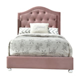 Reggie Transitional/Vintage Bed Pink Polyester Fabric (PI# FG898-4, AR-FNW-PINK) • Wood Leg: White (Elephant White) 30875F-ACME