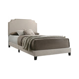 Tamarac Contemporary Upholstered Nailhead Bed