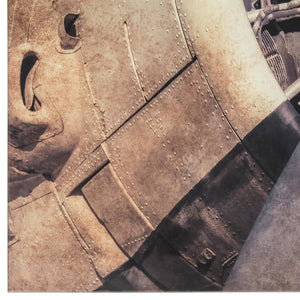 Yosemite Home Decor Iron Bird 3120021-YHD