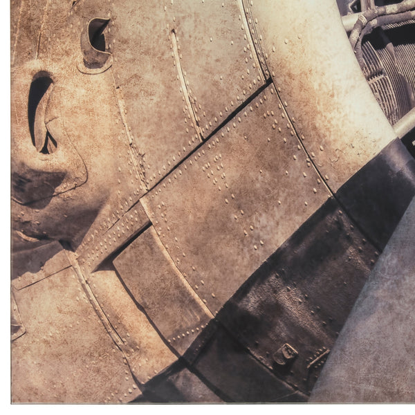 Yosemite Home Decor Iron Bird 3120021-YHD