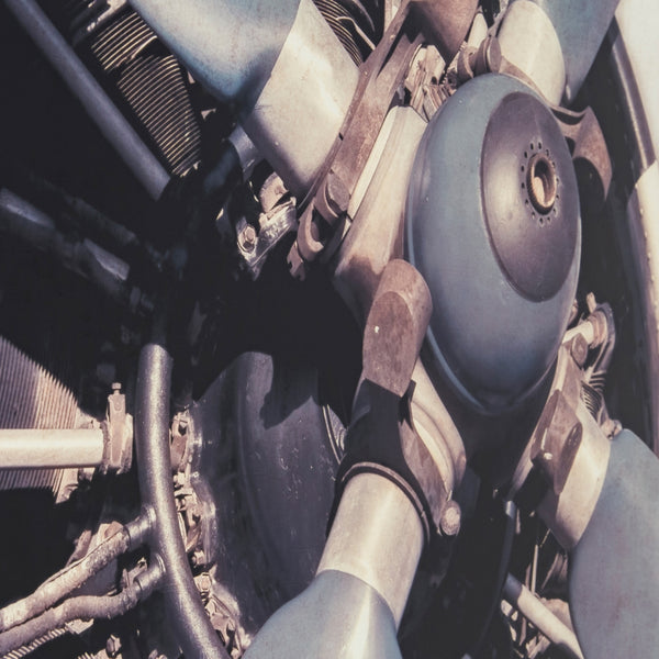 Yosemite Home Decor Iron Bird 3120021-YHD