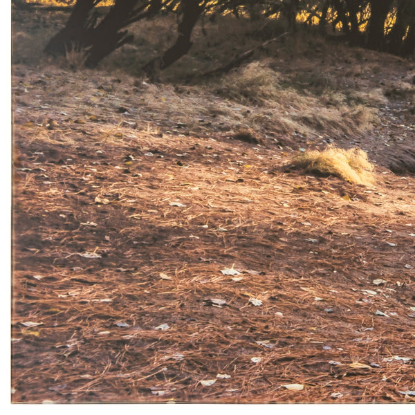 Yosemite Home Decor Morning In Paradise 3120031-YHD