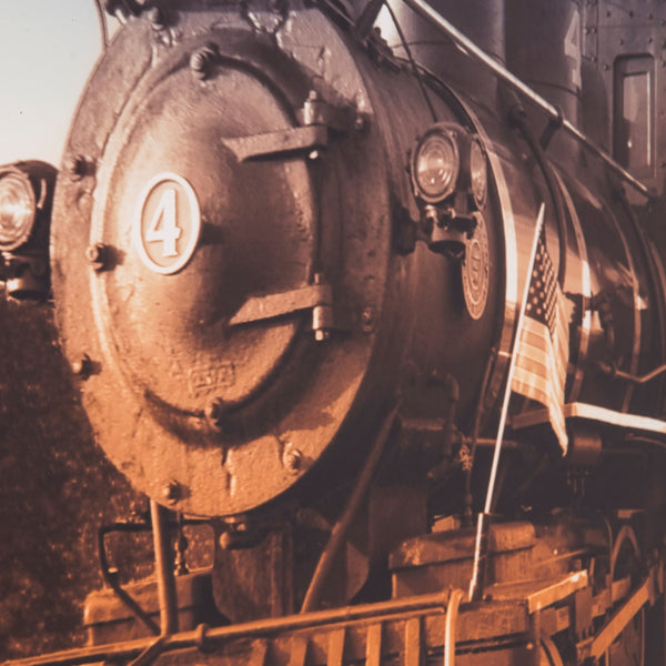 Yosemite Home Decor Wild West 3120032-YHD