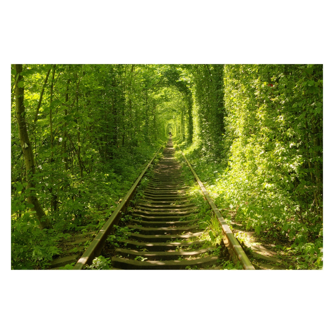 Yosemite Home Decor Tunnel of Love