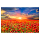 Yosemite Home Decor All The Poppies 3120065-YHD
