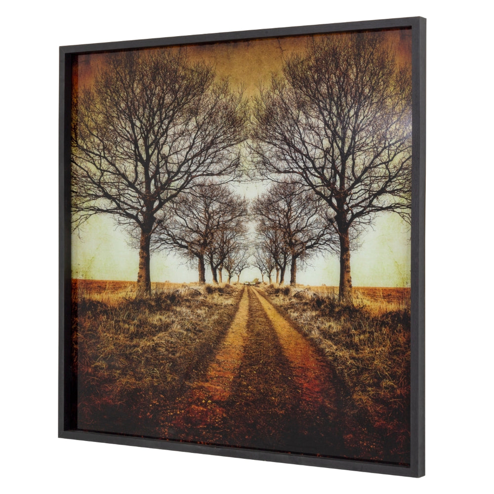 Yosemite Home Decor 'Distance' - Photo Printed on Tempered Glass, Framed 3120076-YHD