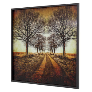 Yosemite Home Decor 'Distance' - Photo Printed on Tempered Glass, Framed 3120076-YHD