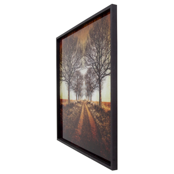 Yosemite Home Decor 'Distance' - Photo Printed on Tempered Glass, Framed 3120076-YHD