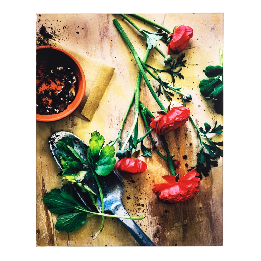 Yosemite Home Decor 'Earthy Charm I' - Photo by Veronica Olson, Printed on Tempered Glass 3120086-YHD