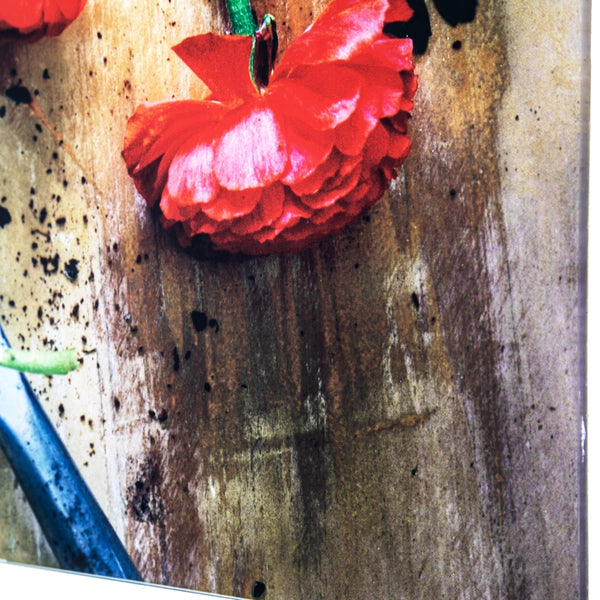 Yosemite Home Decor 'Earthy Charm I' - Photo by Veronica Olson, Printed on Tempered Glass 3120086-YHD