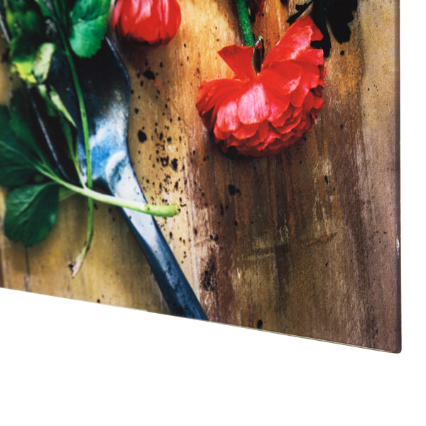 Yosemite Home Decor 'Earthy Charm I' - Photo by Veronica Olson, Printed on Tempered Glass 3120086-YHD