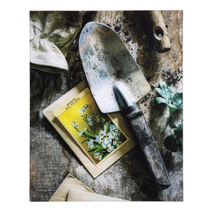 Yosemite Home Decor Earthy Charm II'- Photo by Veronica Olson, Printed on Tempered Glass 3120088-YHD