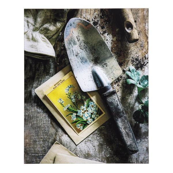 Yosemite Home Decor Earthy Charm II'- Photo by Veronica Olson, Printed on Tempered Glass 3120088-YHD