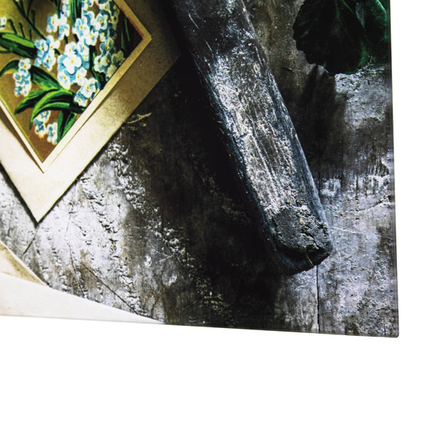 Yosemite Home Decor Earthy Charm II'- Photo by Veronica Olson, Printed on Tempered Glass 3120088-YHD