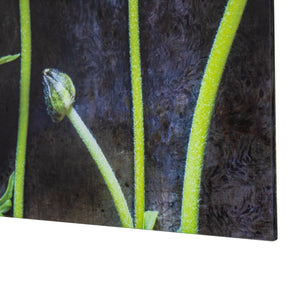 Yosemite Home Decor Ranunculus I 3120106-YHD