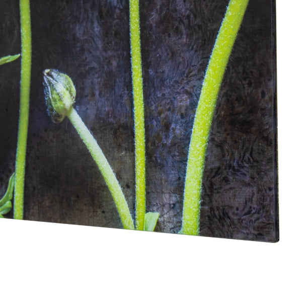 Yosemite Home Decor Ranunculus I 3120106-YHD