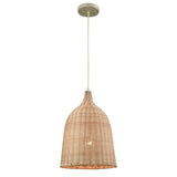 Pleasant Fields 12'' Wide 1-Light Mini Pendant - Russet Beige