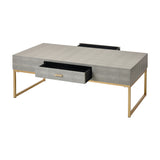 Les Revoires Coffee Table - Gray