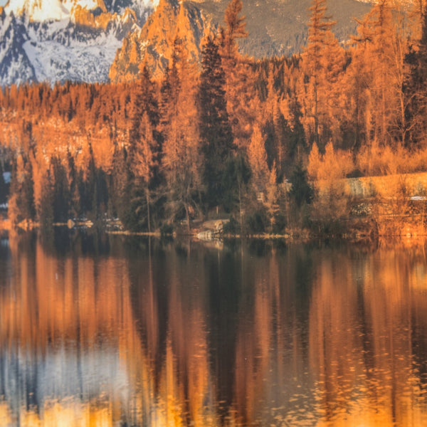 Yosemite Home Decor Identic Image 3220003-YHD