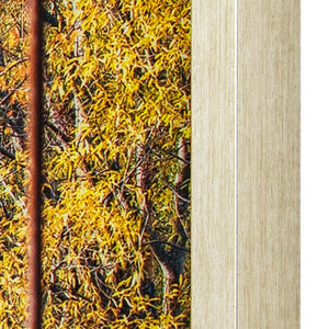 Yosemite Home Decor Woodlands 3220005-YHD