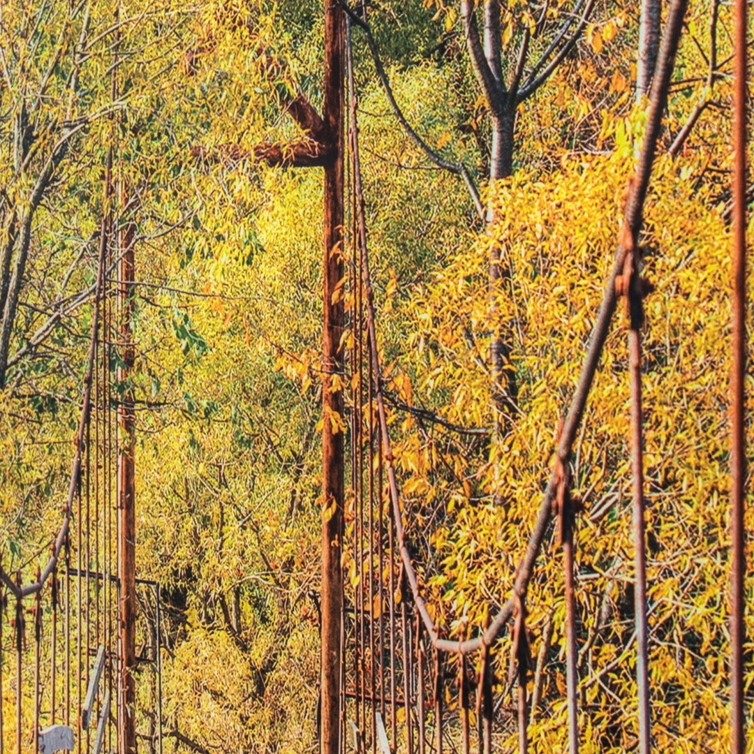 Yosemite Home Decor Woodlands Suspended Bridge Art - Thumbnail 3