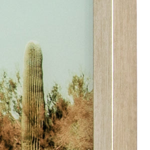 Yosemite Home Decor Saguaro 3220006-YHD