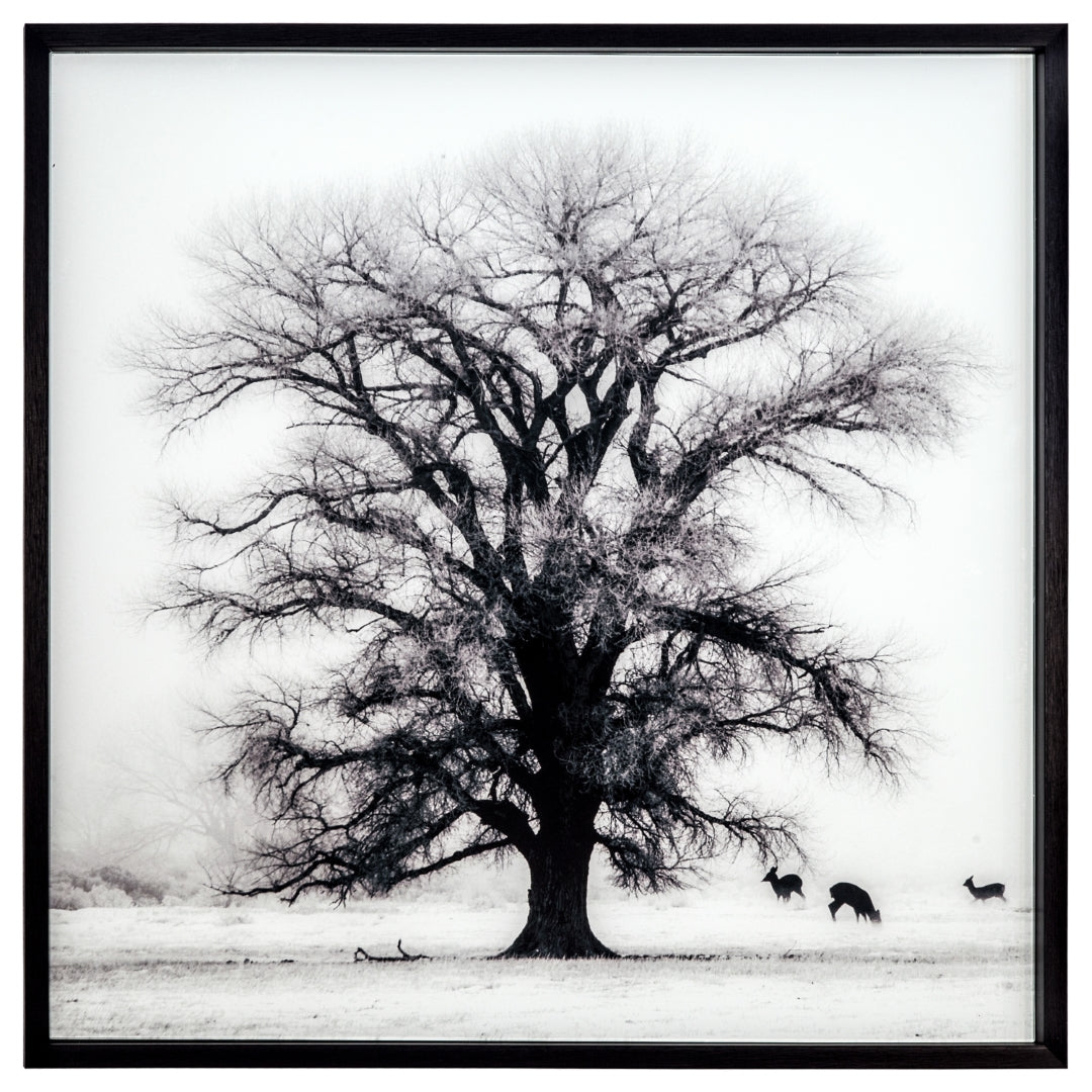 Yosemite Home Decor - Thumbnail 4