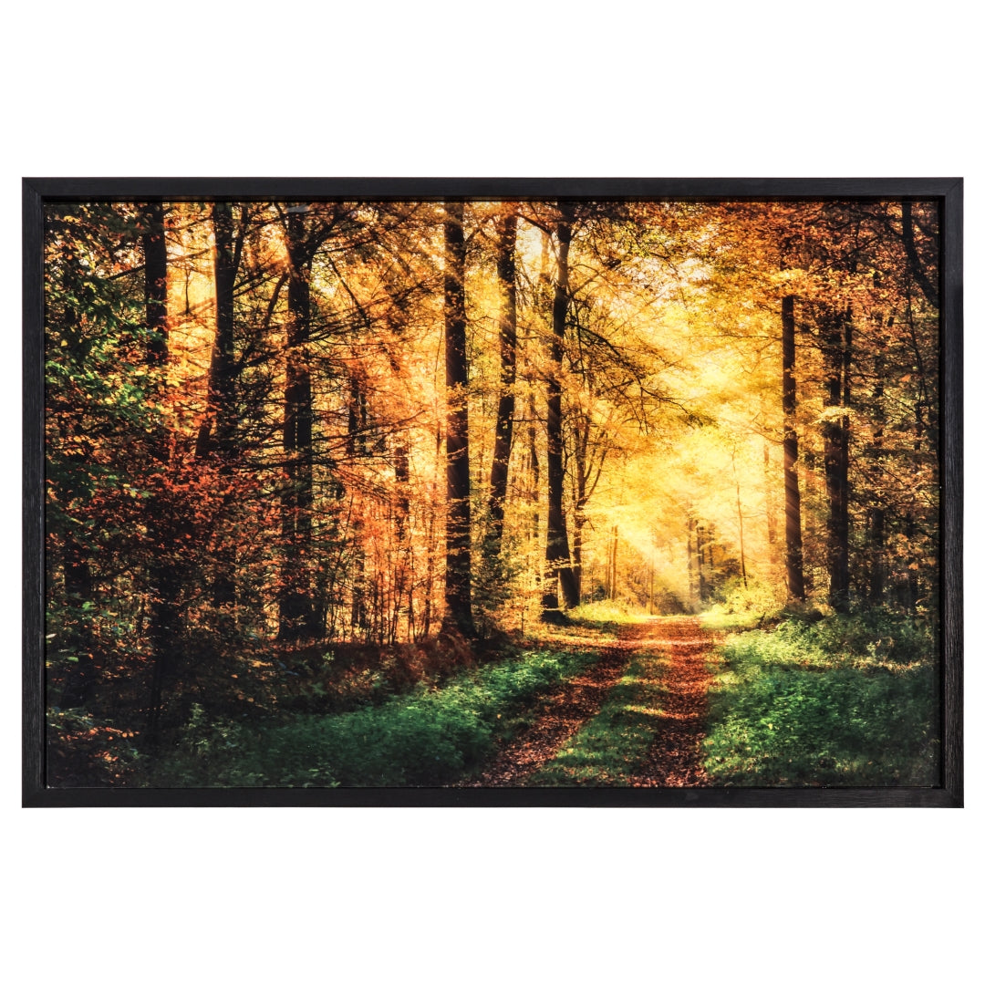 Yosemite Home Decor The Road Traveled