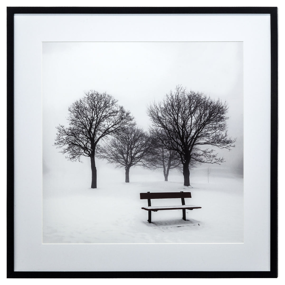 Yosemite Home Decor