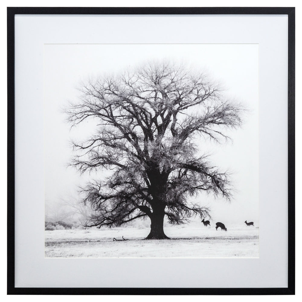 Yosemite Home Decor Winter’s Morning Fog IV 3220014-YHD