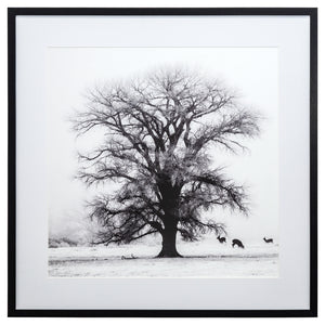 Yosemite Home Decor Winter’s Morning Fog IV 3220014-YHD