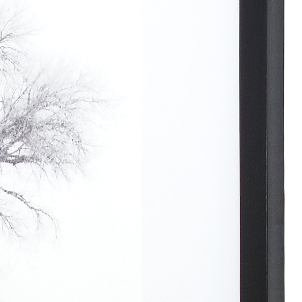 Yosemite Home Decor Winter’s Morning Fog IV 3220014-YHD