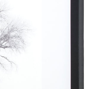 Yosemite Home Decor Winter’s Morning Fog IV 3220014-YHD