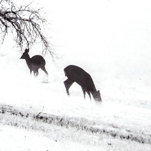 Yosemite Home Decor Winter’s Morning Fog IV 3220014-YHD