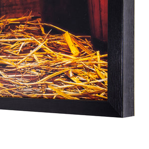 Yosemite Home Decor 'Deep Rooted' - Photo Printed on Tempered Glass, Framed 3220018-YHD