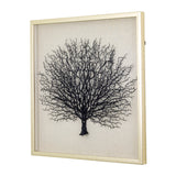 Yosemite Home Decor Sea Fan  I 3220033-YHD