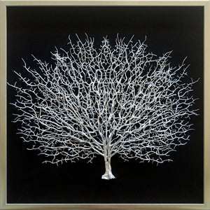 Yosemite Home Decor Sea Fan II 3220034-YHD