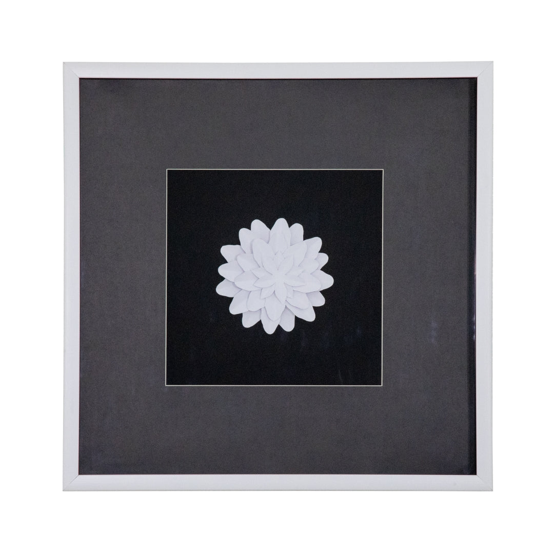 Papayrus II - Thumbnail 2