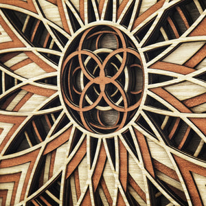 Yosemite Home Decor Symmetry's Cut' - 47"Wx32"H Mixed Media Shadowbox, Framed under Glass 3230060-YHD