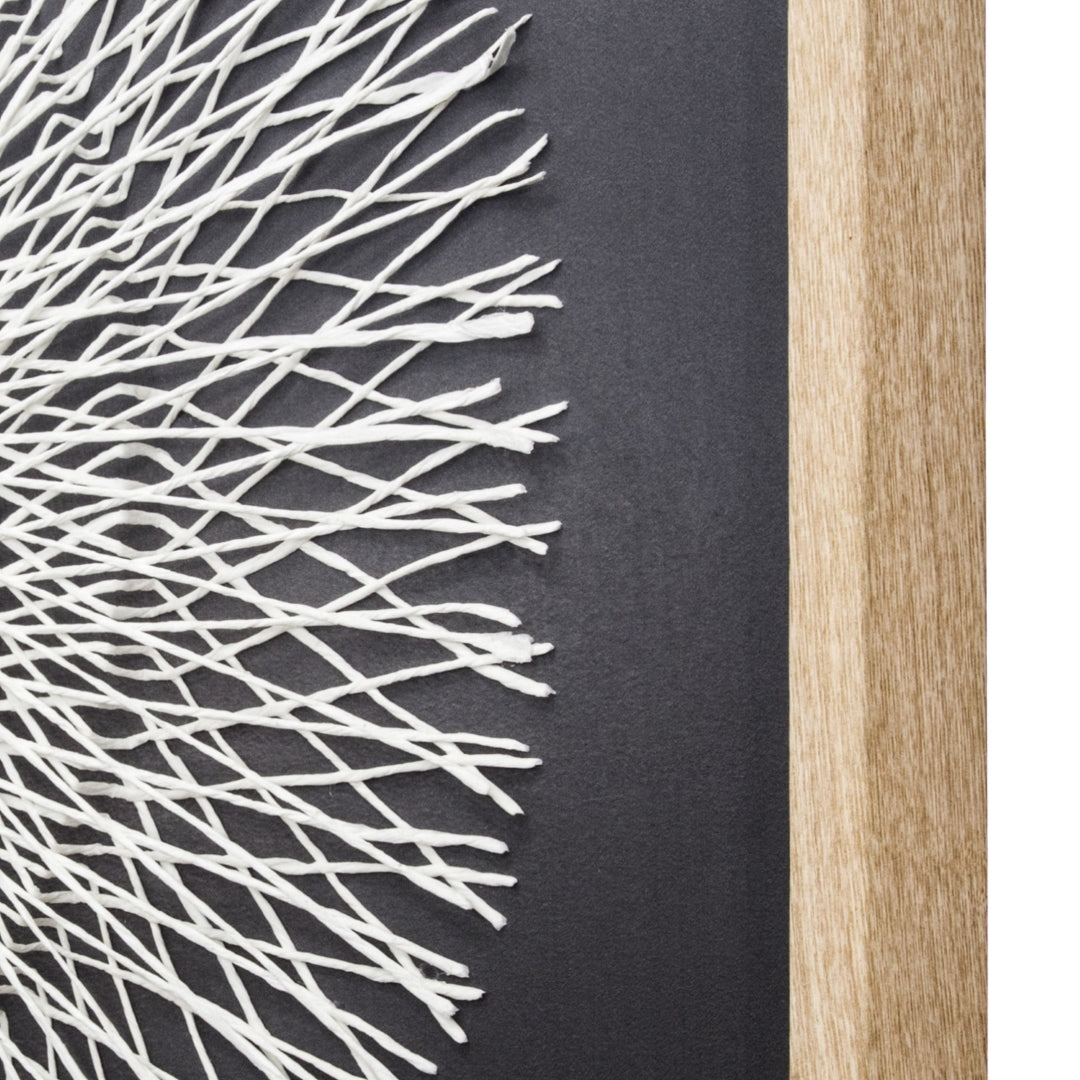 Centripetal Force Shadowbox - Thumbnail 2