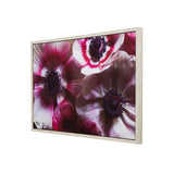 Yosemite Home Decor 'Anemone II' - 38"Wx25"H Photo by Veronica Olson, Printed on Canvas, Framed 3230102-YHD
