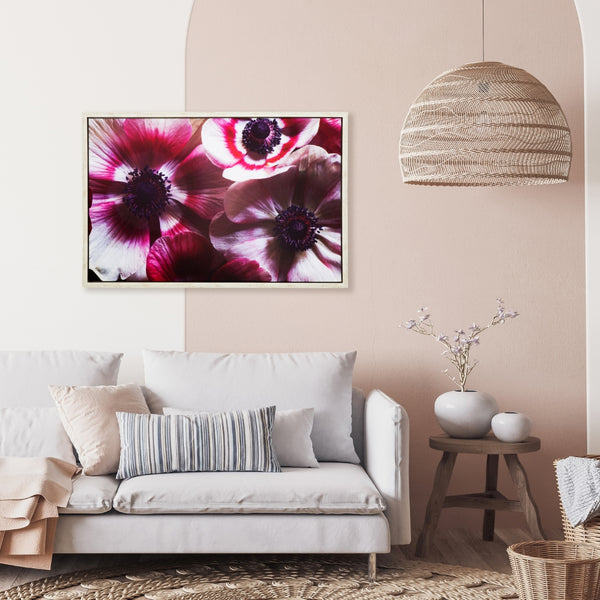 Yosemite Home Decor 'Anemone II' - 38"Wx25"H Photo by Veronica Olson, Printed on Canvas, Framed 3230102-YHD