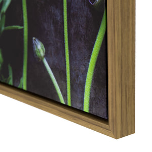 Yosemite Home Decor 'Ranunculus II' - 19"Wx25"H Photo by Veronica Olson, Printed on Canvas, Framed 3230103-YHD