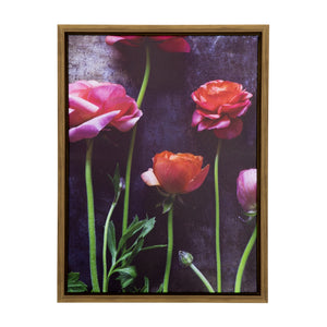 Yosemite Home Decor 'Ranunculus II' - 19"Wx25"H Photo by Veronica Olson, Printed on Canvas, Framed 3230103-YHD