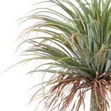 Suches 3.5' x 2.5' Artificial Yucca Plant, Green Noble House