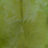 6 Ft Green Dyed Stenciled Cowhide